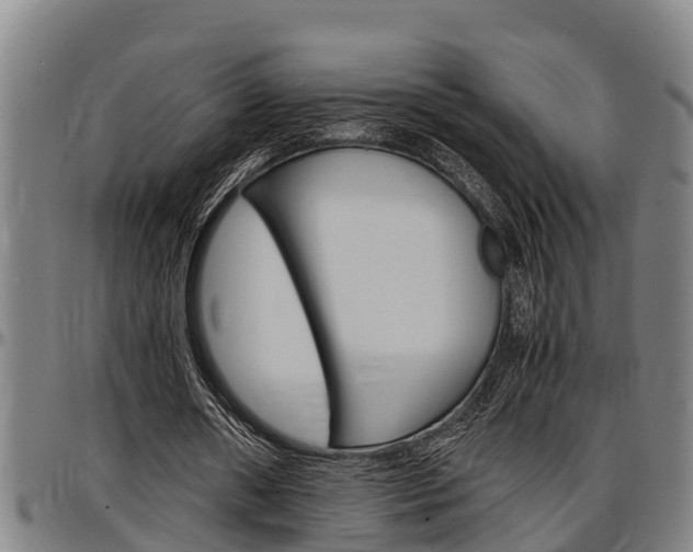 X0000097500482200802220845