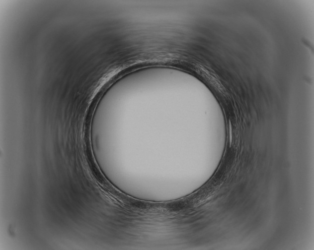 X0000097500483200802220845