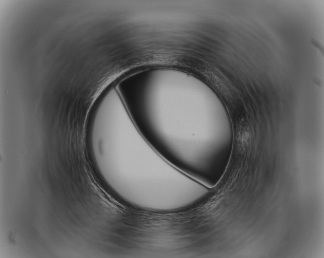 X0000097500484200802220845