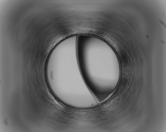X0000097500485200802220845