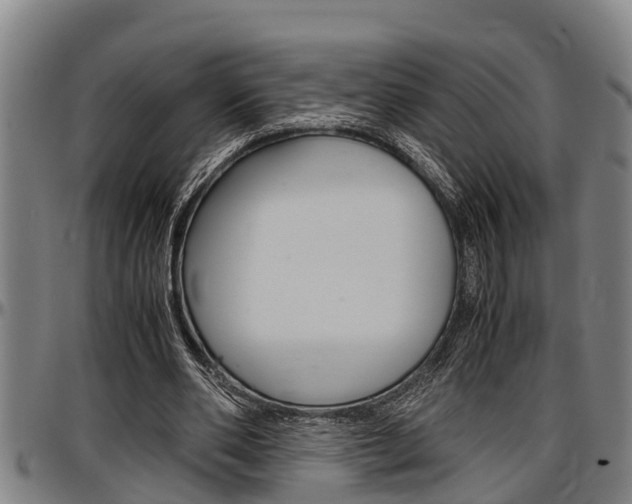 X0000097500486200802220845