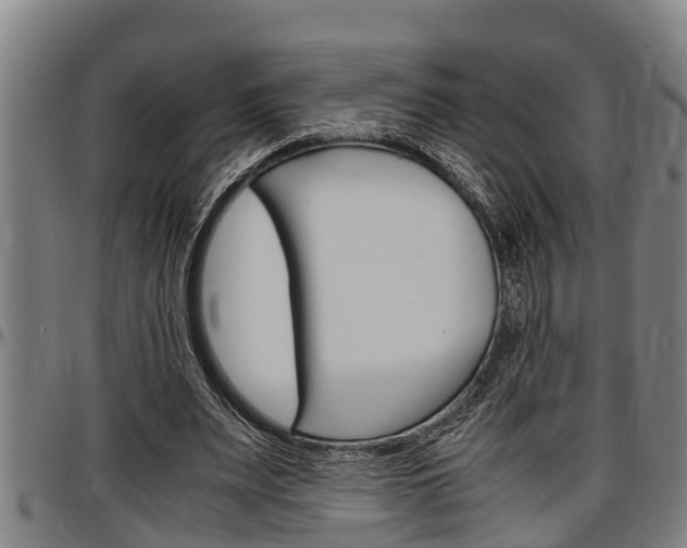 X0000097500487200802220845