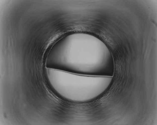 X0000097500488200802220845