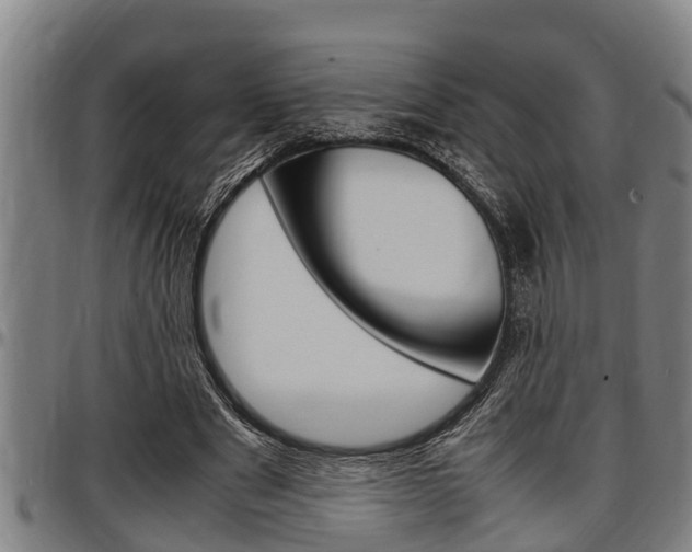 X0000097500489200802220845
