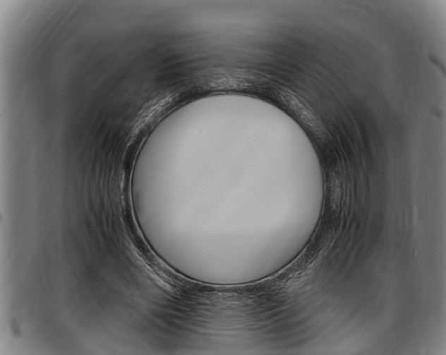 X0000097500490200802220845
