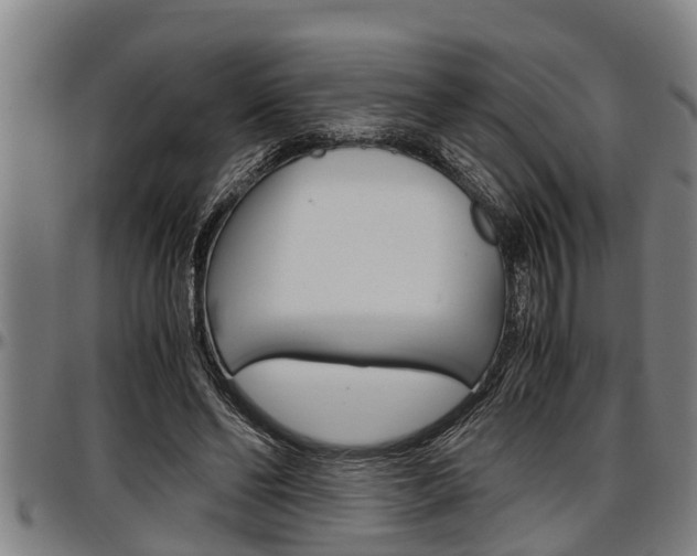 X0000097500494200802220845