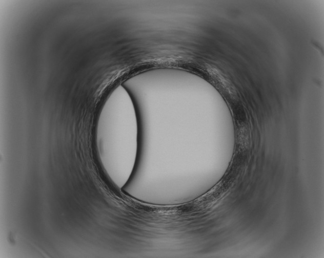 X0000097500495200802220845