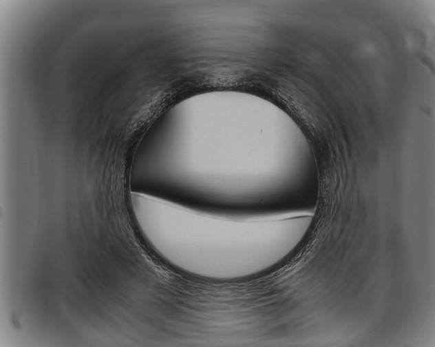 X0000097500497200802220845