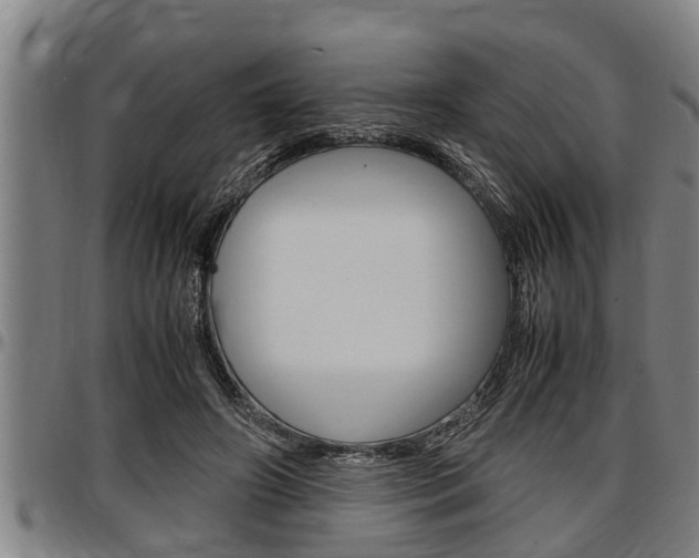 X0000097500498200802220845