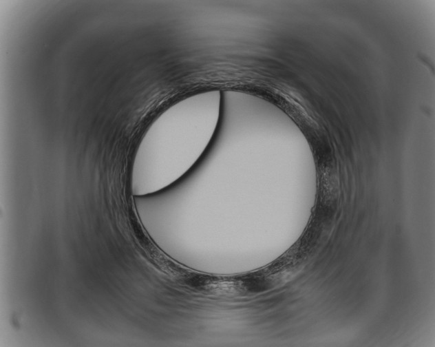 X0000097500499200802220845