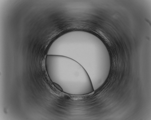 X0000097500500200802220845