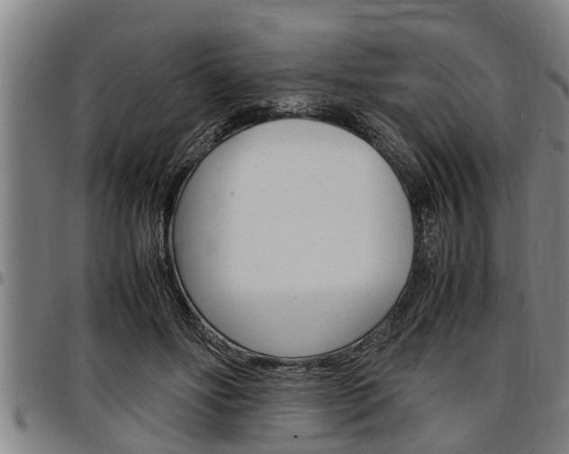 X0000097500502200802220845