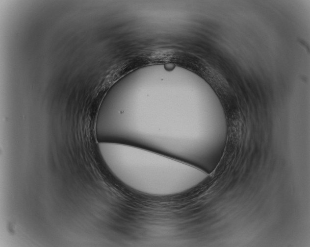 X0000097500504200802220845