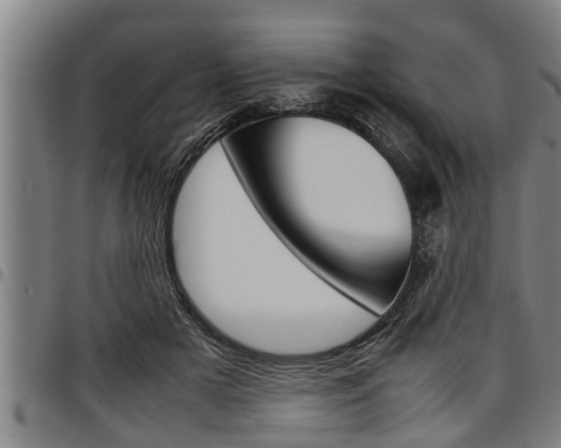 X0000097500505200802220845