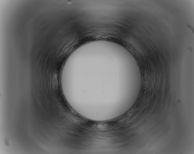 X0000097500506200802220845