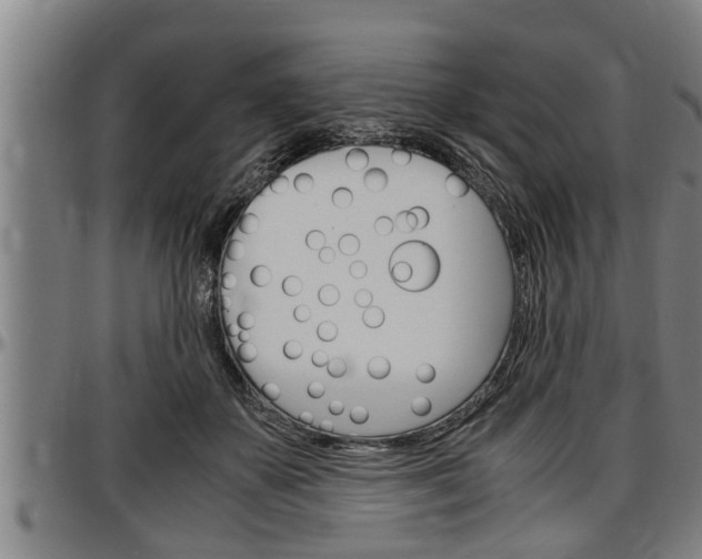 X0000097500507200802220845