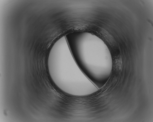 X0000097500508200802220845