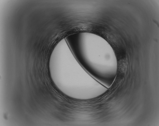 X0000097500509200802220845