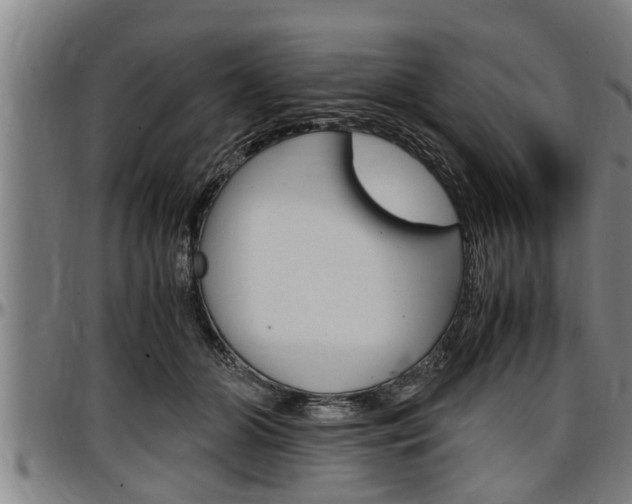 X0000097500510200802220845