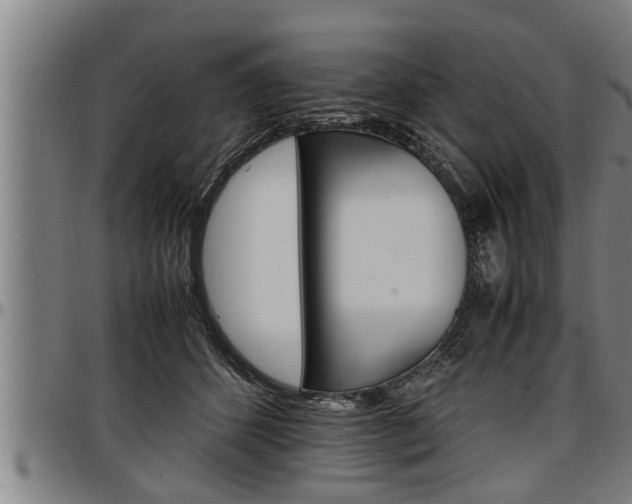 X0000097500512200802220845