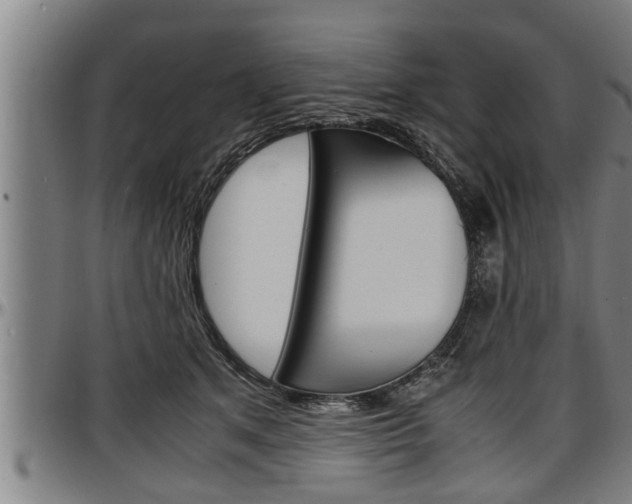 X0000097500513200802220845