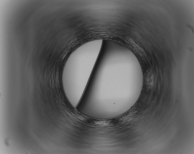 X0000097500516200802220845