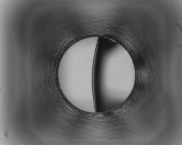 X0000097500517200802220845