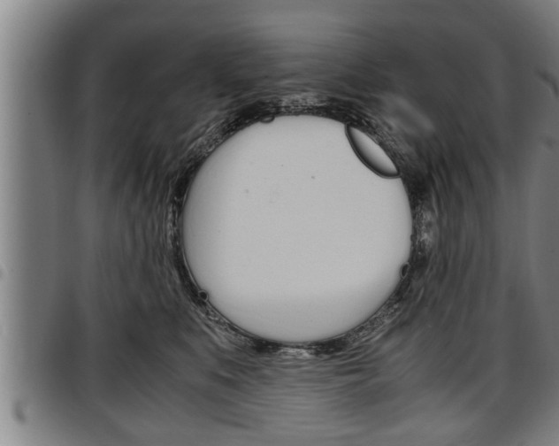 X0000097500519200802220845