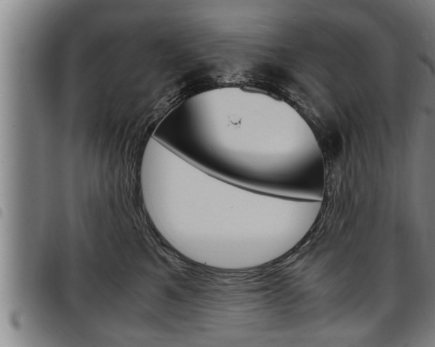 X0000097500521200802220845