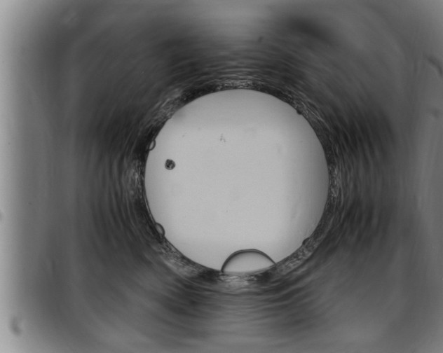 X0000097500522200802220845