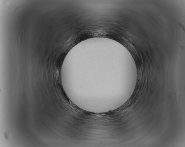 X0000097500523200802220845