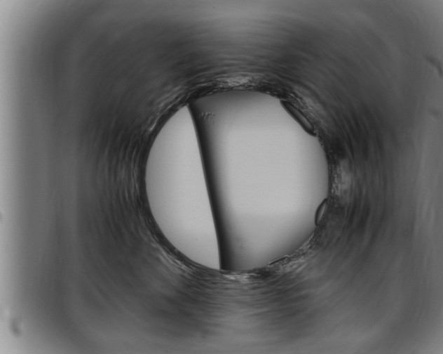 X0000097500524200802220845