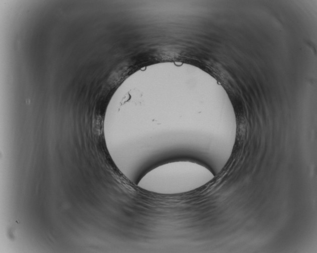 X0000097500525200802220845