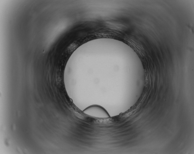 X0000097500526200802220845