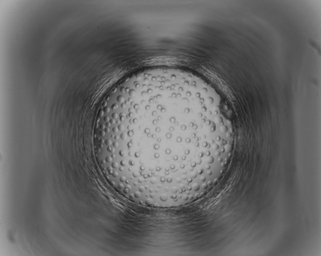 X0000097500529200802220844