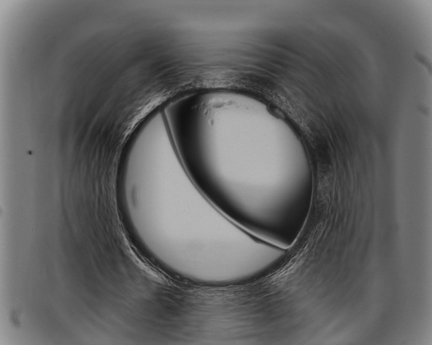 X0000097500530200802220844
