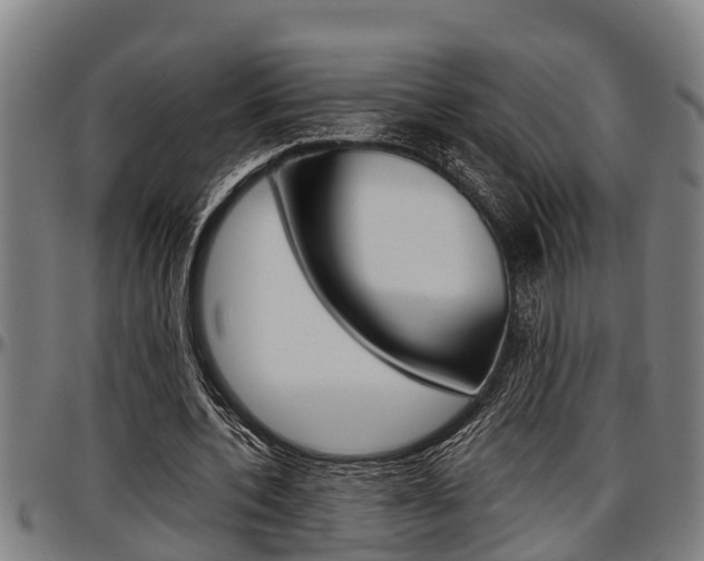 X0000097500532200802220844