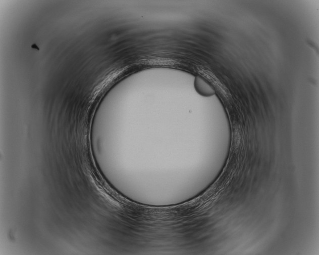 X0000097500533200802220844