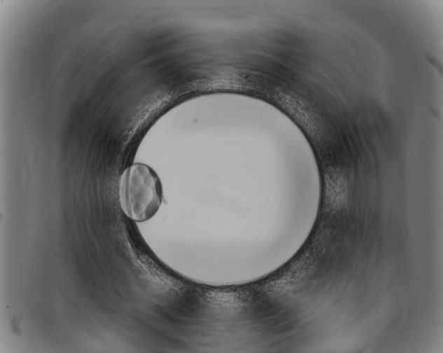 X0000097500534200802220844