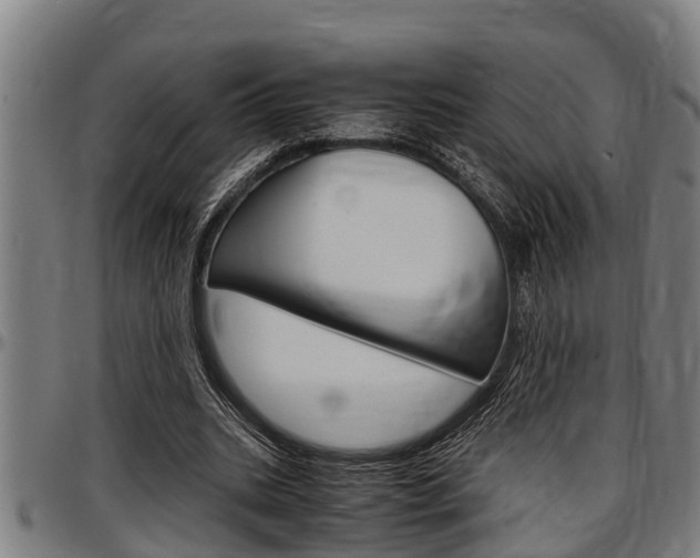 X0000097500535200802220844