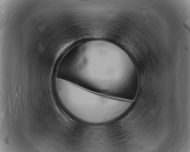 X0000097500536200802220844