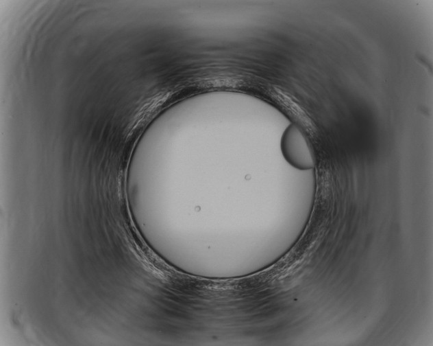 X0000097500537200802220844