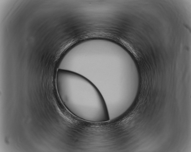 X0000097500538200802220844