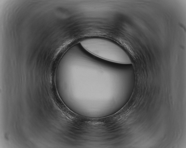 X0000097500539200802220844
