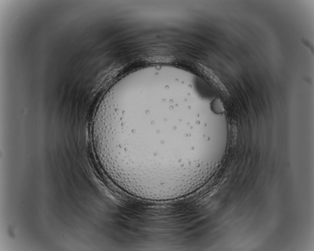 X0000097500541200802220844