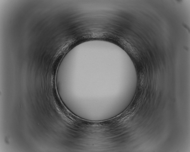 X0000097500542200802220844