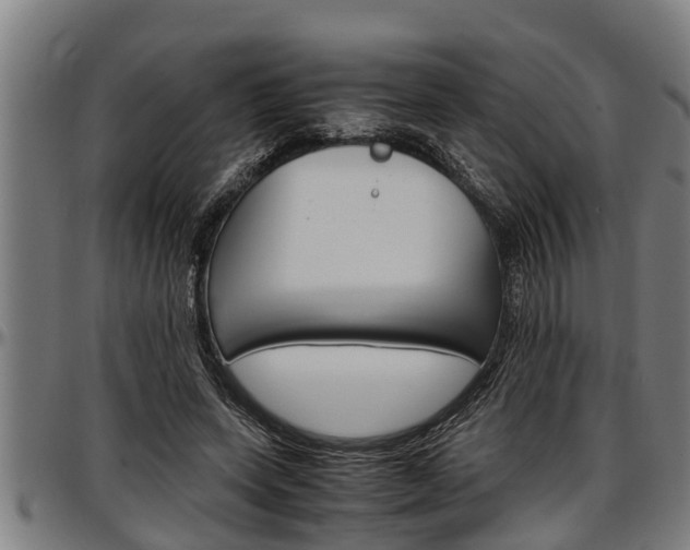 X0000097500543200802220844