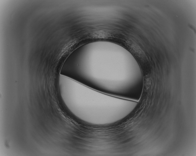 X0000097500544200802220844