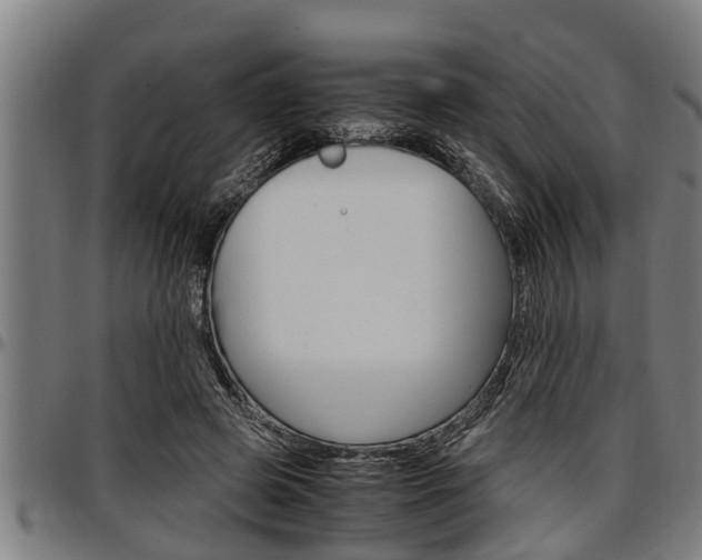 X0000097500545200802220844