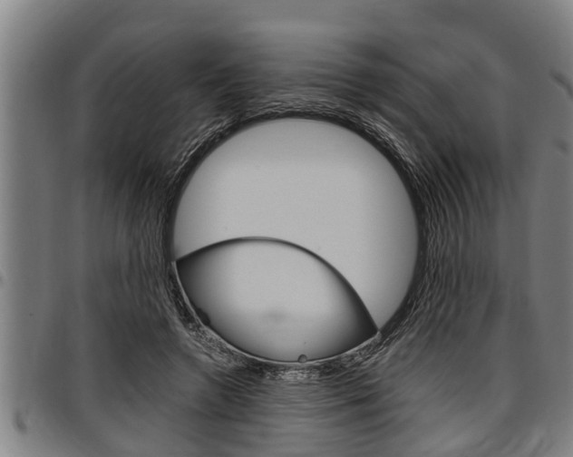 X0000097500546200802220844